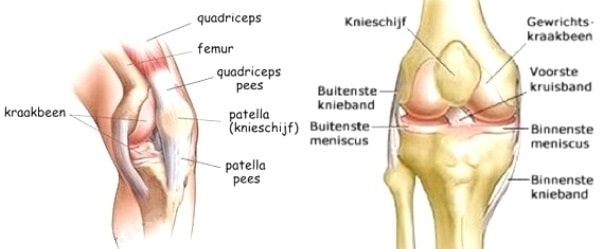 knieklachten-informatie